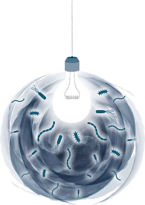Culturomics: illuminating microbial dark matter