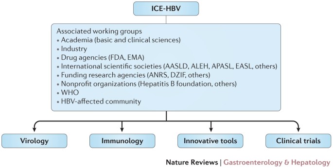 Global Strategies Are Required To Cure And Eliminate Hbv Infection Nature Reviews Gastroenterology Hepatology