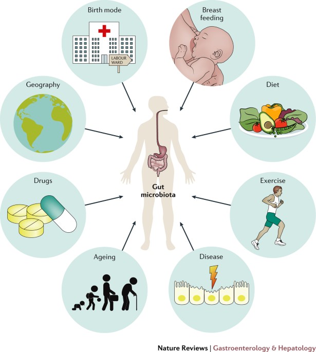 Gut microbiome as a clinical tool in gastrointestinal disease management:  are we there yet? | Nature Reviews Gastroenterology & Hepatology