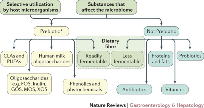 Expert consensus document: The International Scientific Association for  Probiotics and Prebiotics (ISAPP) consensus statement on the definition and  scope of prebiotics | Nature Reviews Gastroenterology & Hepatology