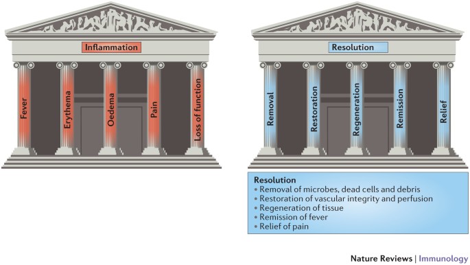 Specialized pro-resolving mediators: endogenous regulators of infection and inflammation