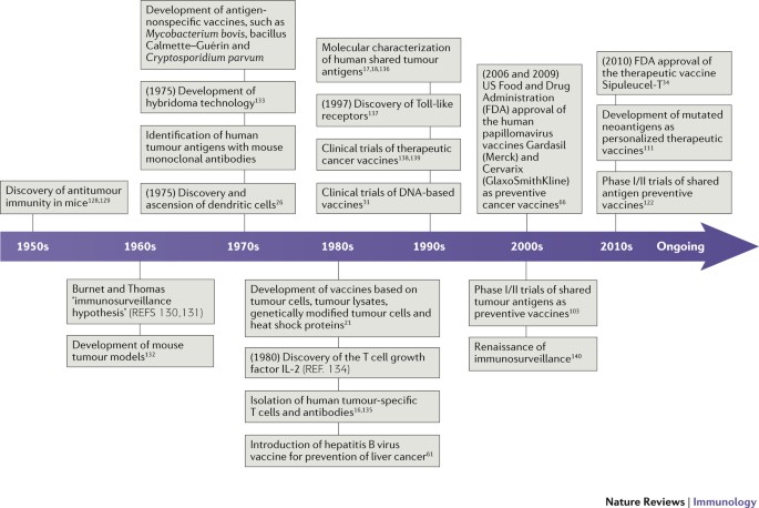 human papillomavirus vaccine discovery)