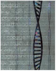feature-image