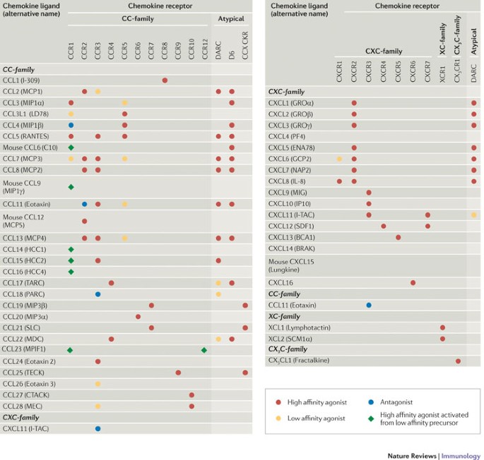 Chemokine Chart