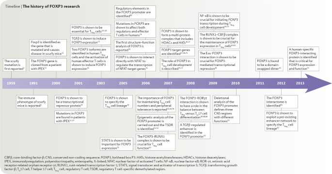 FOXP3 and scurfy: how it all began