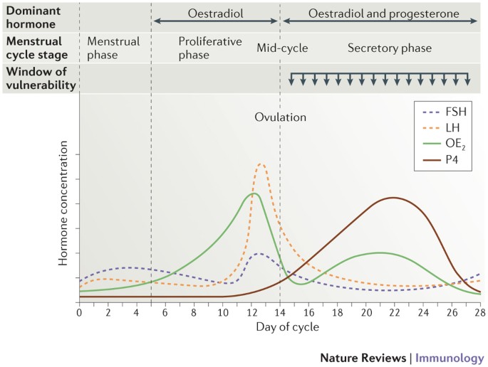Frontiers  Towards the Clinical Evaluation of the Luteal Phase in Fertile  Women: A Preliminary Study of Normative Urinary Hormone Profiles