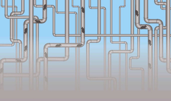 feature-image
