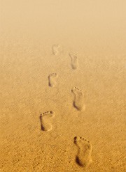 feature-image