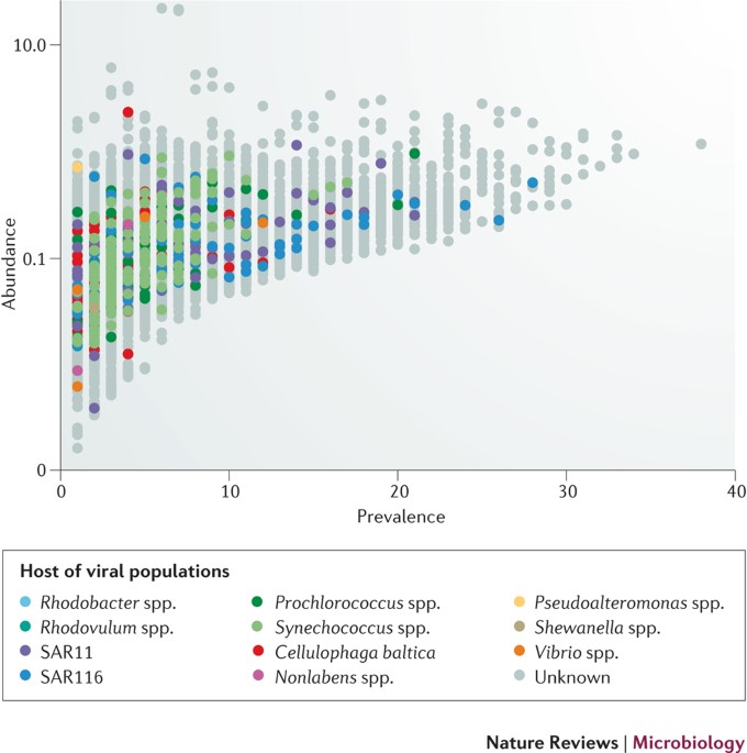 Virus Taxonomy In The Age Of Metagenomics Nature Reviews Microbiology