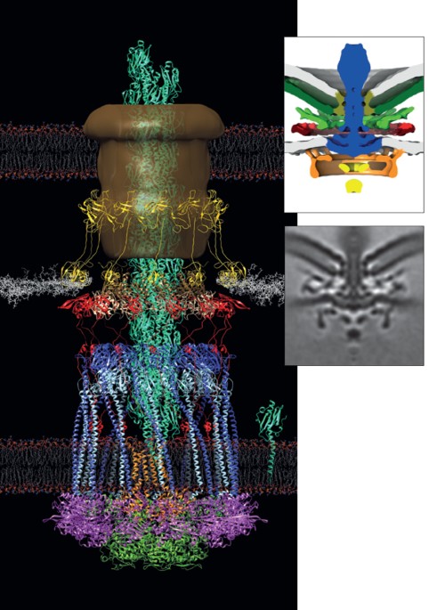 feature-image