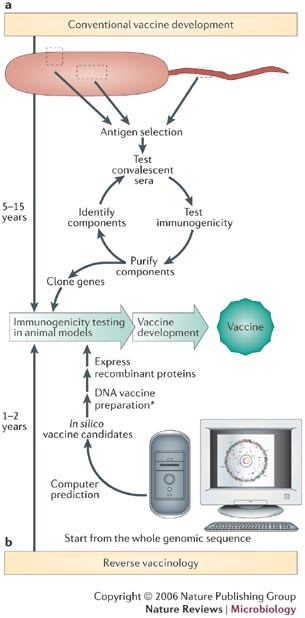 Group b streptococcus: global incidence and vaccine development