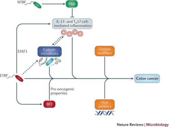 Keystone Symposia for Targeted Protein Degradation 2022 - Biognosys