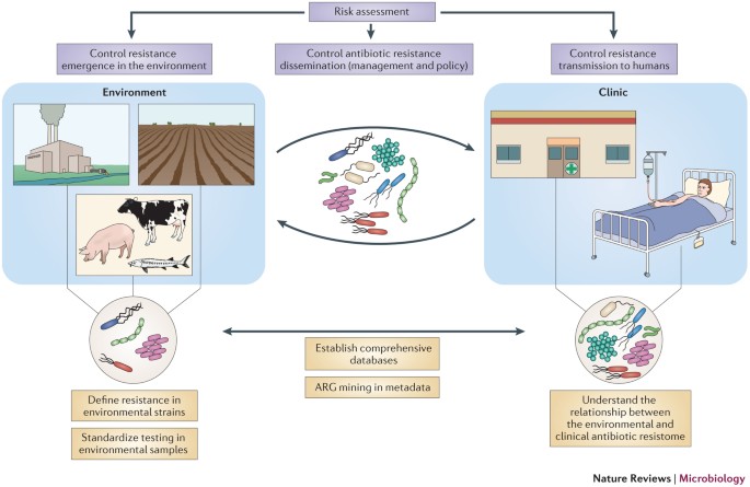 Tackling Antibiotic Resistance The Environmental Framework Nature Reviews Microbiology Tackling Antibiotic Resistance The Environmental Framework Nature Reviews Microbiology