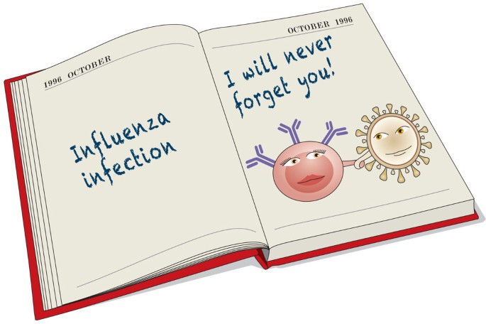 The chronicles of virus–host affairs