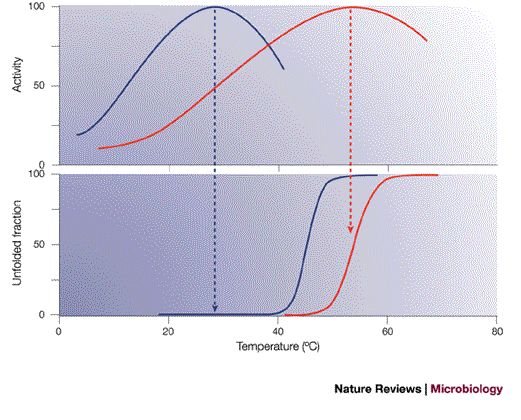 Enzyme adaptation to habitat thermal legacy shapes the thermal plasticity  of marine microbiomes