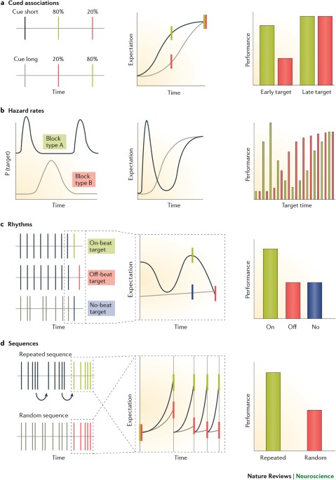 Which One Is The Expression Of Asking For Attention Rasanya