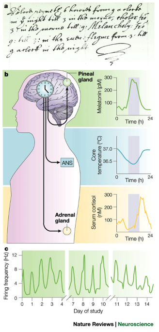 A clockwork web: circadian timing in brain and periphery, in health and disease