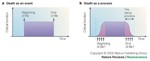 Death Unconsciousness And The Brain Nature Reviews Neuroscience