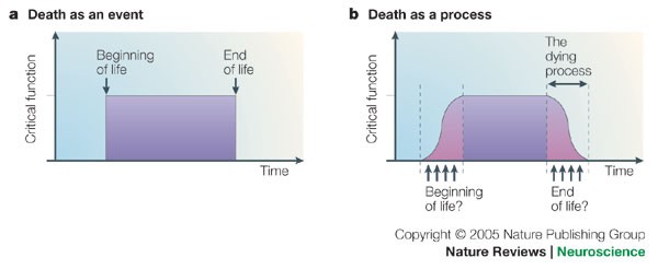 Death Unconsciousness And The Brain Nature Reviews Neuroscience Death Unconsciousness And The Brain Nature Reviews Neuroscience