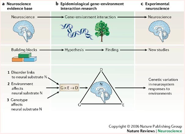 Unraveling Gene Environment Interaction >> Gene Environment Interactions In Psychiatry Joining Forces With Unraveling Gene Environment Interaction >> Gene Environment Interactions In Psychiatry Joining Forces With