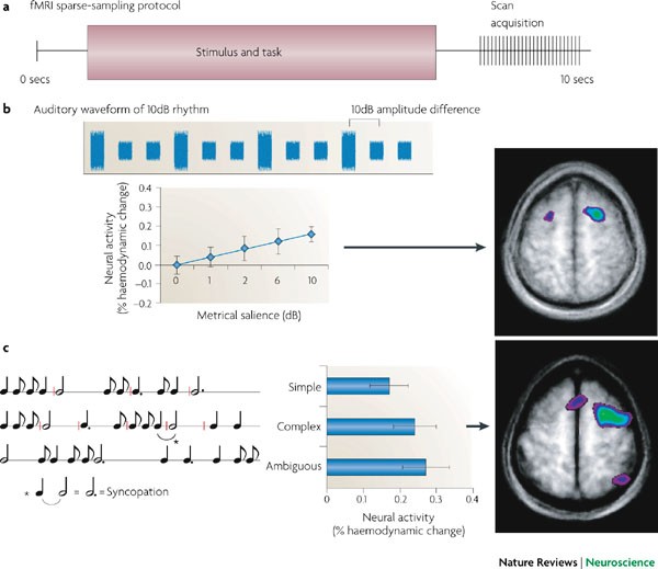 Music in the brain  Nature Reviews Neuroscience