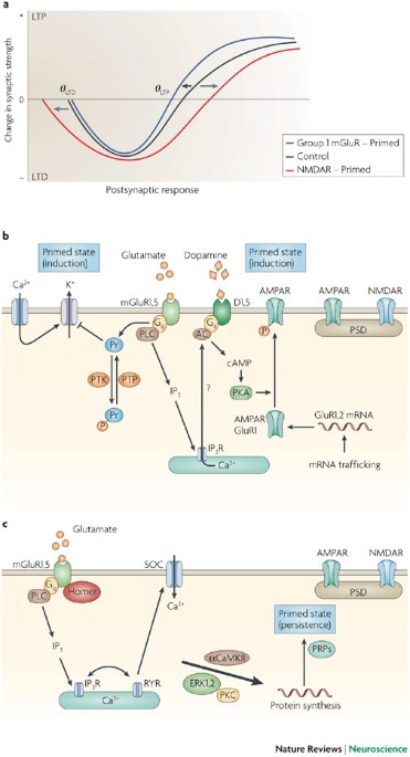 Metaplasticity: tuning synapses and networks for plasticity
