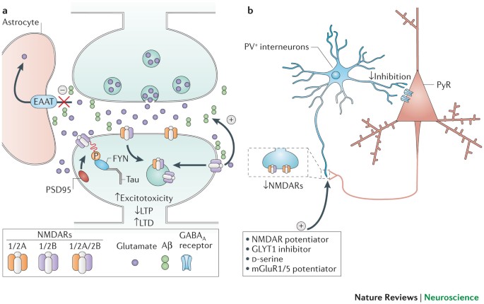 SciELO - Brazil - Does mismatch negativity have utility for NMDA receptor  drug development in depression? Does mismatch negativity have utility for  NMDA receptor drug development in depression?