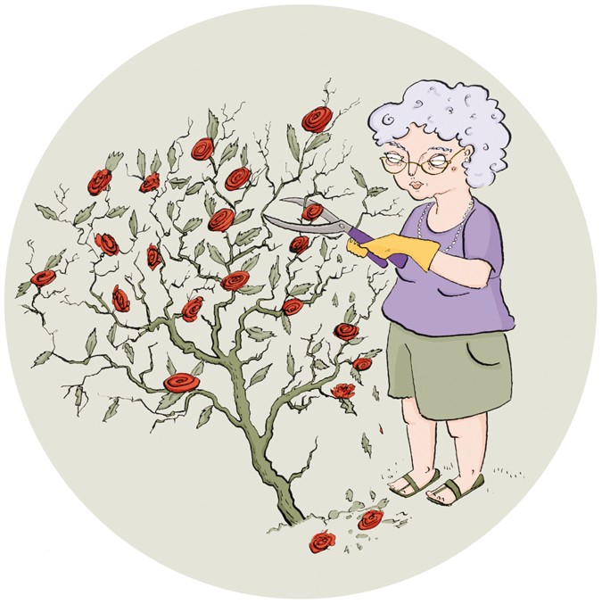 Pruning: a class I act | Nature Reviews Neuroscience