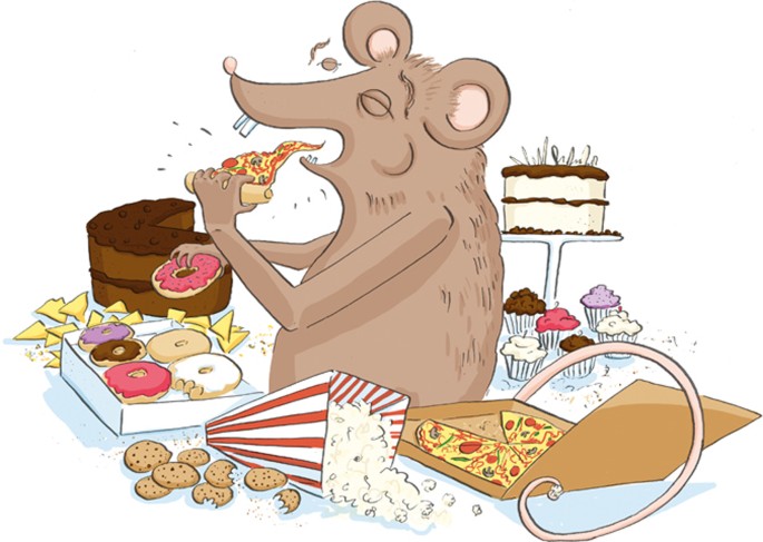 Driving the urge to eat | Nature Reviews Neuroscience Driving the urge to eat | Nature Reviews Neuroscience