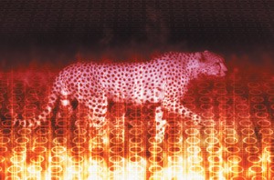 feature-image