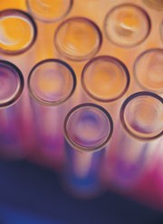 Meta-analysis confirms relationship between egfr, albuminuria and risk of mortality