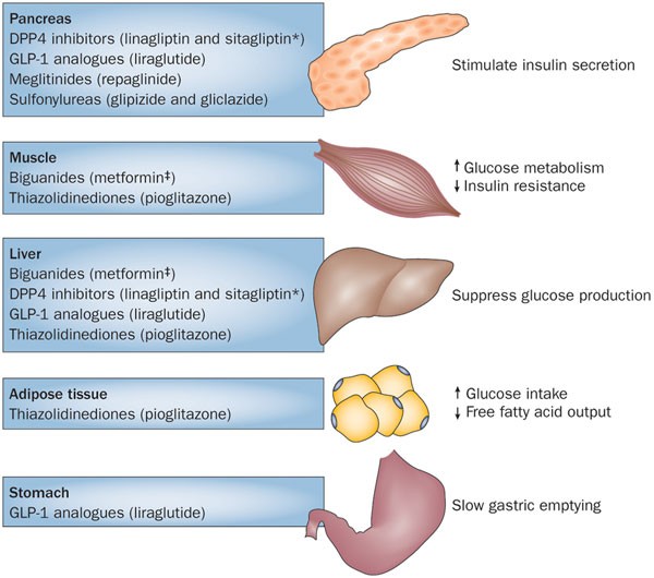 Noninsulin Glucose Lowering Agents For The Treatment Of Patients