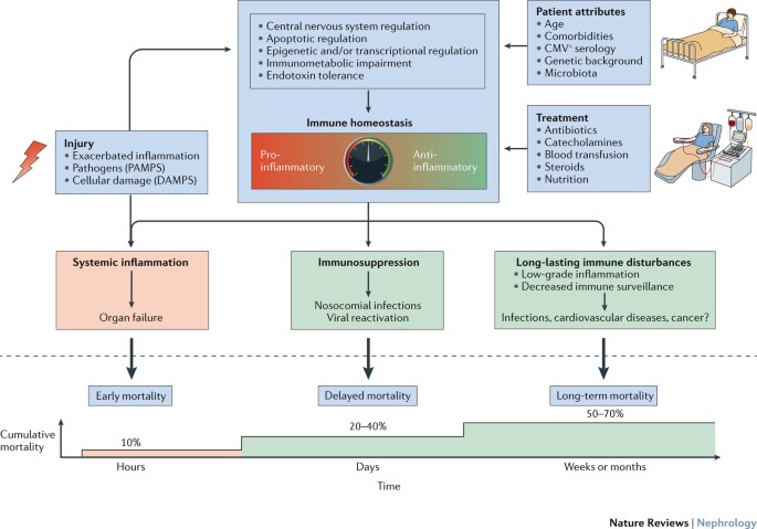 PDF) Sepsis in Burns—Lessons Learnt from Developments in the Management of  Septic Shock