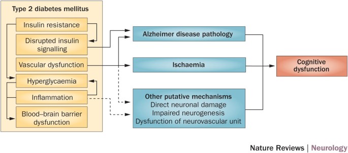 Association between diabetes and cognitive function at baseline in