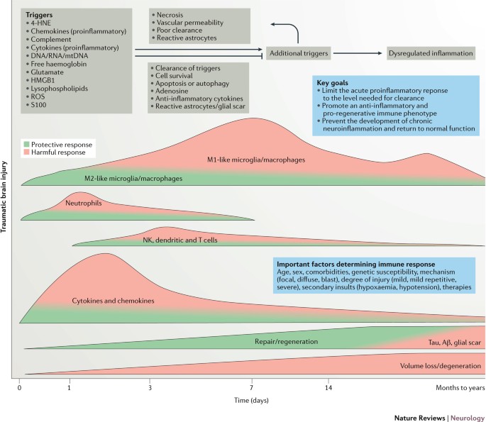 Long-term Multidomain Patterns of Change After Traumatic Brain Injury