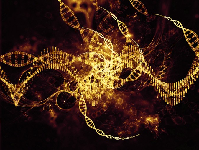 Nlrc4 mutation causes rare autoinflammatory disease