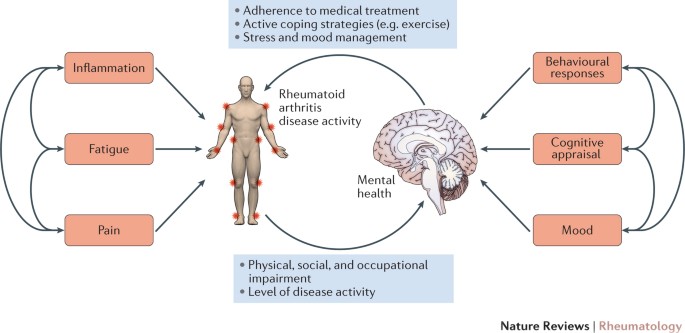 Affective Disturbance In Rheumatoid Arthritis Psychological And Disease Related Pathways Nature Reviews Rheumatology