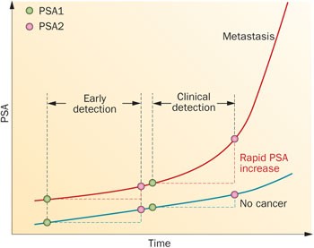 Risk stratification in prostate cancer screening