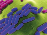 Potential protective role of raised psa in recurrent uti