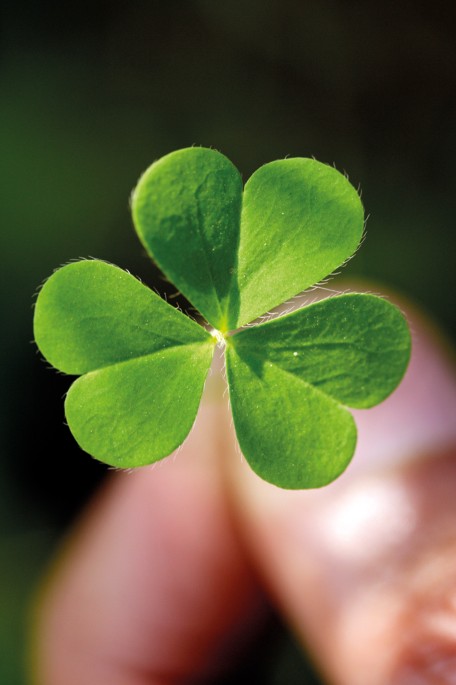 Novel subtyping could aid stratification and therapy