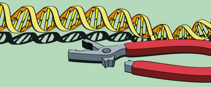 A step to identifying men at high risk of metastatic disease