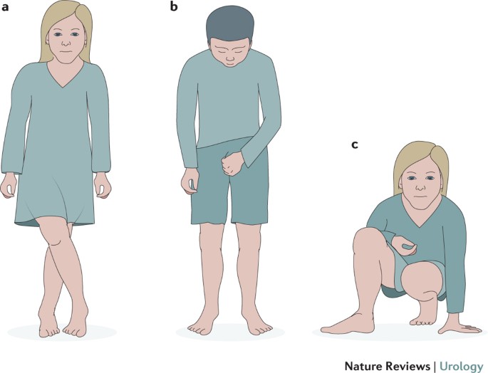 Overactive Bladder In Children Nature Reviews Urology