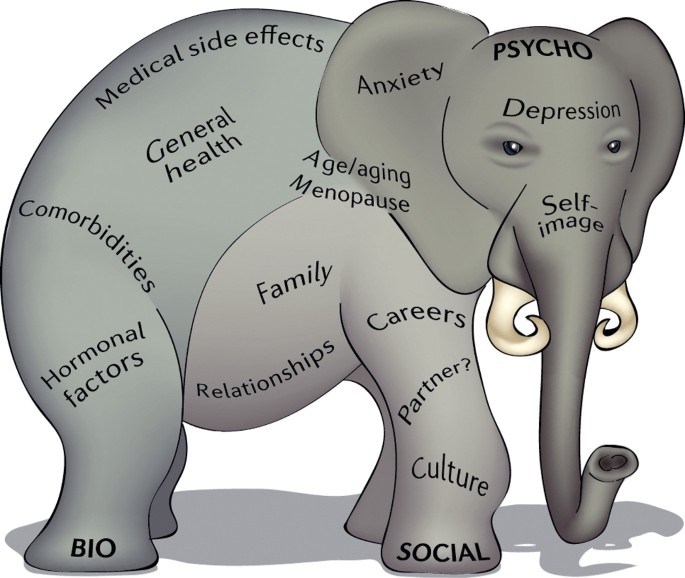 Female Sexual Dysfunction A Call To Arms For Collaboration To Understand The Sexological Elephant Nature Reviews Urology