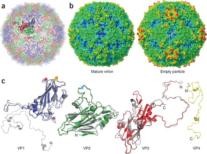 腸病毒衣服可以一起洗嗎？