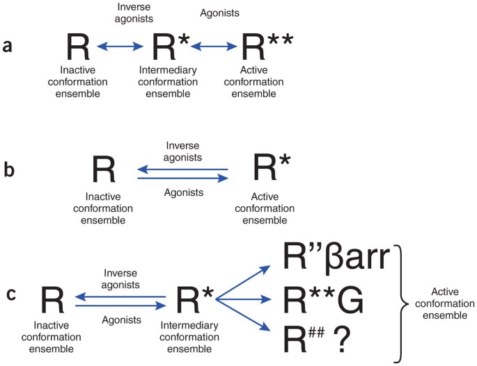 Unraveling the structural basis of GPCR activation and inactivation