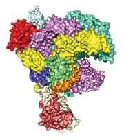 Research highlights | Nature Structural & Molecular Biology