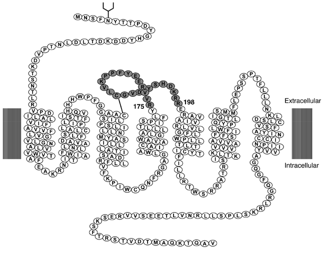 feature-image