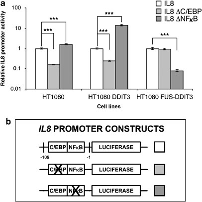 The myxoid liposarcoma fus-ddit3 fusion oncoprotein deregulates nf-κb target genes by interaction with nfkbiz