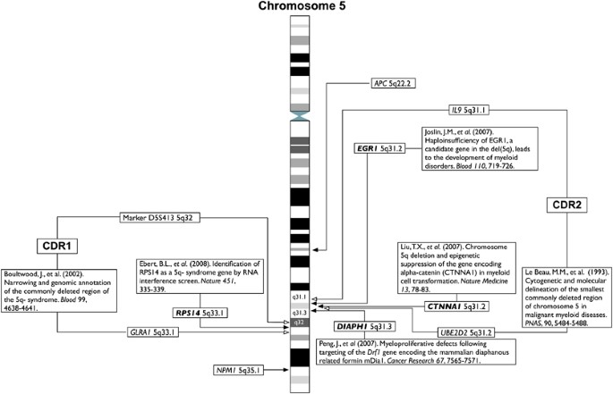 5q Myelodysplastic Syndromes Chromosome 5q Genes Direct A Tumor Suppression Network Sensing Actin Dynamics Oncogene 5q Myelodysplastic Syndromes Chromosome 5q Genes Direct A Tumor Suppression Network Sensing Actin Dynamics Oncogene