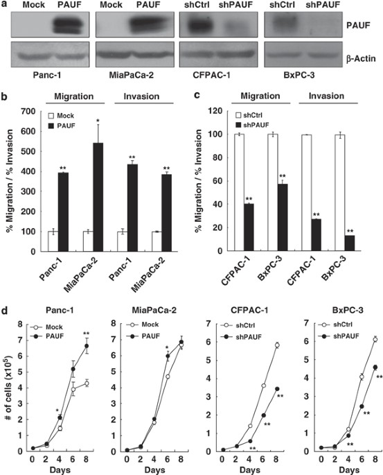 Pauf functions in the metastasis of human pancreatic cancer cells and upregulates cxcr4 expression